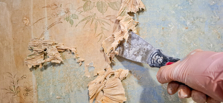 Worker scraping off old vintage wallpaper from wall with spatula.