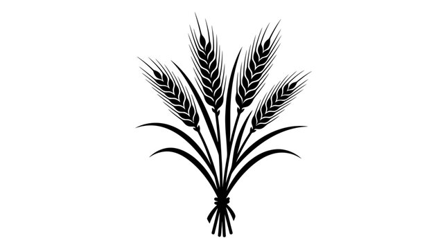 Wheat stalks silhouette against a white background botanical illustration