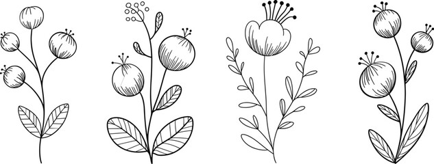 Hand drawn floral botanical collection, decorative wildflower branches with berries and leaves vector illustration set © Billal