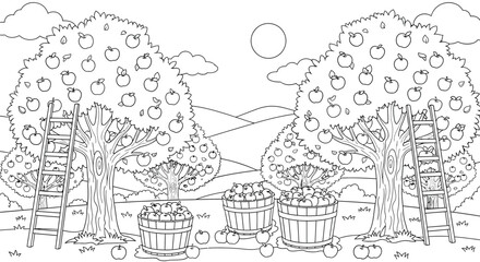 Coloring page of apple orchard during harvest season with ladders and baskets full of apples. © Ndjeo