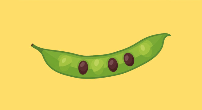 Vector illustration of a single green bean pod showing dark seeds inside against a solid yellow background, representing fresh legumes, organic produce, and healthy food.