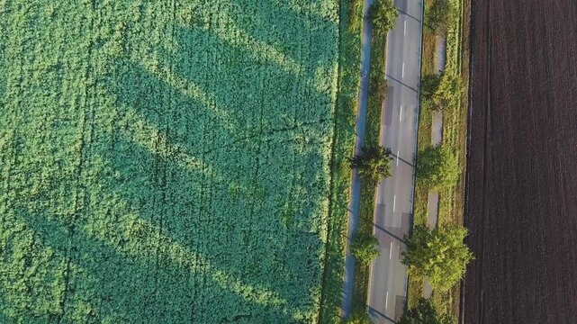  Aerial view on the fields and road. Landscape from drone. Agricultural landscape from air.