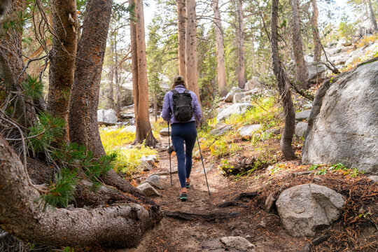 hiker trail 