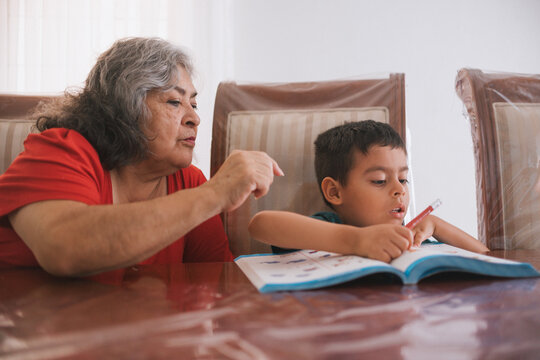 Grandma teaching studying homeschooling with grandson