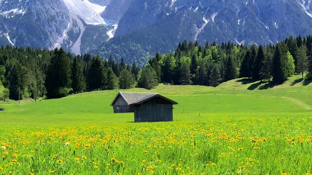 Landschaft mit Wiesen und Karwendelgebirge bei Mittenwald, Fr&uuml;hling, Werdenfelser Land, Oberbayern, Bayern, Deutschland 
