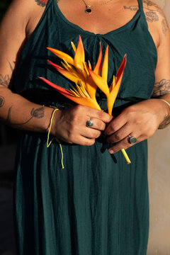 female hands closeup with yellow flower