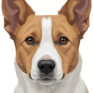 Detailed vector illustration of a mixed breed dog face with tan and white markings, large erect ears, and brown eyes. Symmetrical animal portrait isolated on white background.