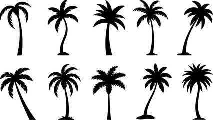 Naklejka premium Black palm tree silhouettes, tropical icons, palm tree set, vector graphics