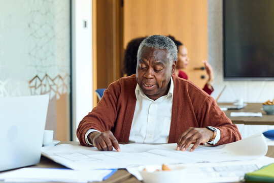 Senior businessman examines project documentation