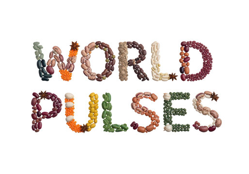 World pulses colorful text logo design PNG isolated on transparent background