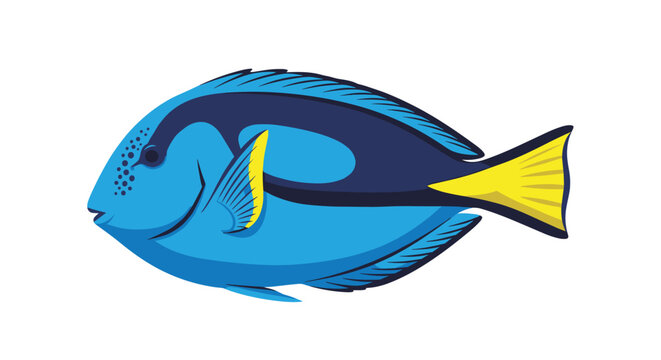 Detailed illustration of a blue tang fish with its characteristic yellow tail and dark blue body markings on a white background.