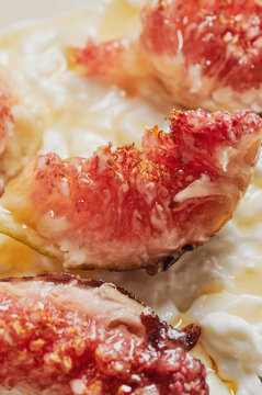 Fig slices on cottage cheese and honey
