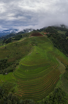 Mu Cang Chai Terraces