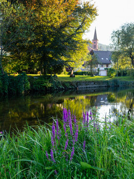 Riverside Landscape with Church in Schiltach