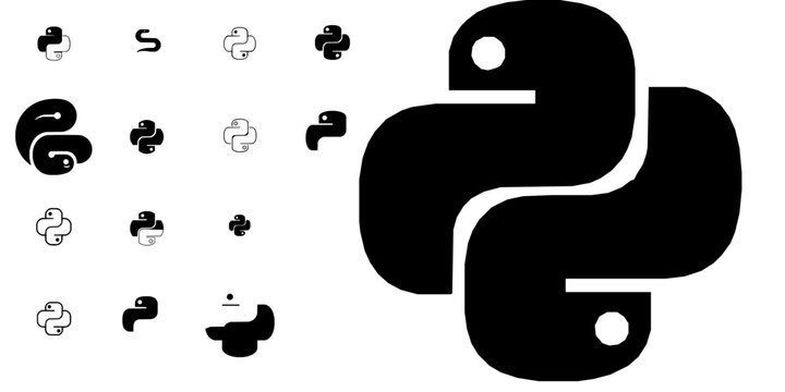 Python Snake Programming Language Coding Icon Minimal Black Flat Vector Modern UI Design
