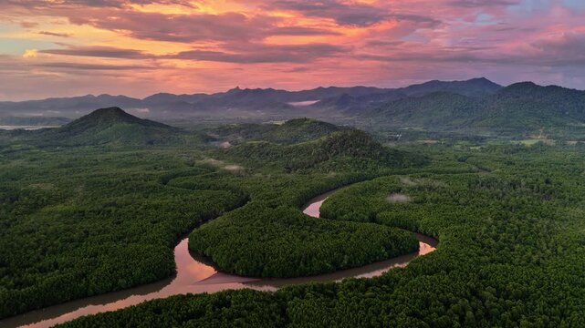 Establishing shot over the vast mangrove area at Cataban, Philippines