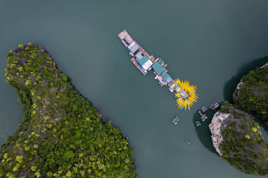 Floating Dock Kayaks Aerial