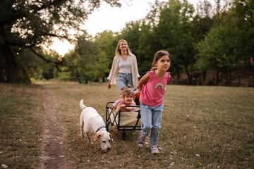 Fototapeta premium Mother pulling twins in cart with dog walking in park during summer