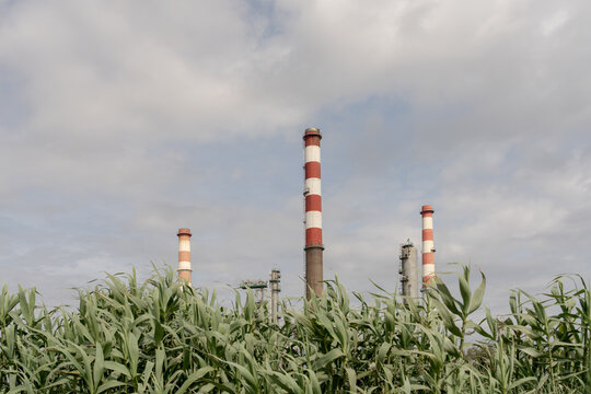 Oil refinery towers emerging from green plants under cloudy sky