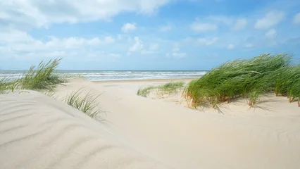 Fotobehang Duinen Panoramic landscape background banner panorama of sand dune, dunes beach and ocean North Sea with blue sky with clouds  © Corri Seizinger