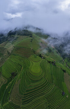 Mu Cang Chai Terraces