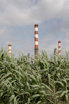 Red and white industrial chimney above green field under soft sky