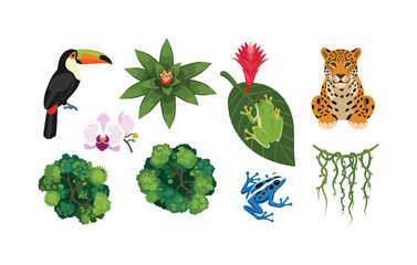 Obraz premium Vibrant jungle elements including toucan, jaguar, orchids, and tropical frogs