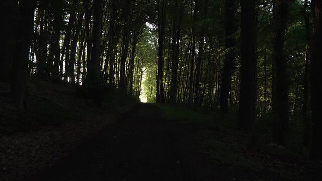 Dunkler Waldweg mit Licht am Ende des Pfades