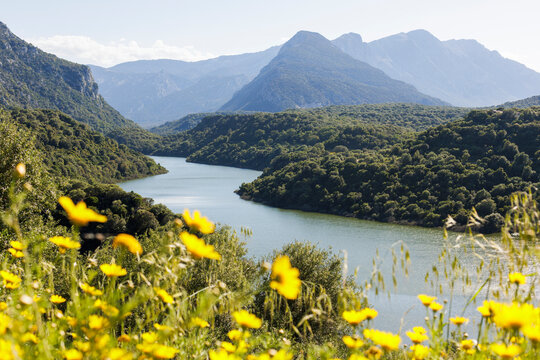 Sardinian view on a river 