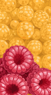 Vertical vector illustration of red and golden yellow raspberries (Rubus idaeus). Close-up of berry drupelets with vibrant red fruit in foreground and yellow variety in the background.
