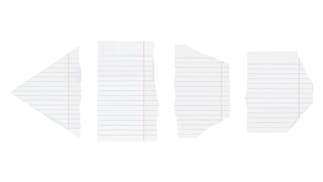 Four Torn Pieces of Lined Paper with Red Vertical Margins on White Background torn paper ripped paper