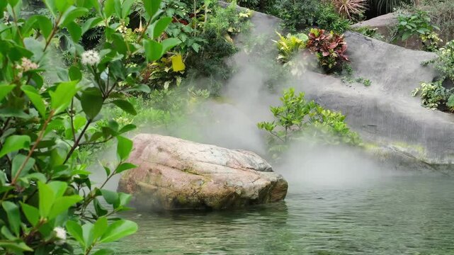 Rock pond misting system tropical garden humidity. Automated misting system creates fog for humidity control in modern botanical garden environment.