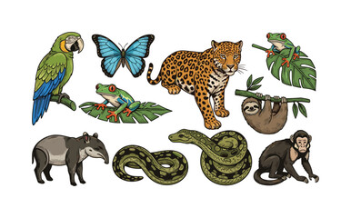 Obraz premium Collection of colorful rainforest animals and insects in a vibrant illustration