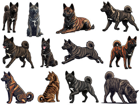 Kai Ken dog 12 profile poses collection vector illustration