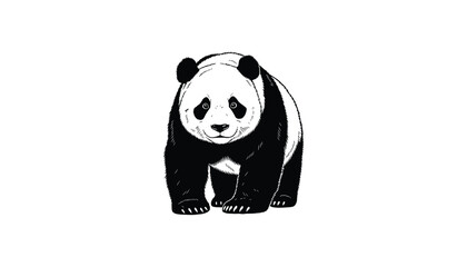 Black and white cute panda sitting © MOHAMMAD ALI