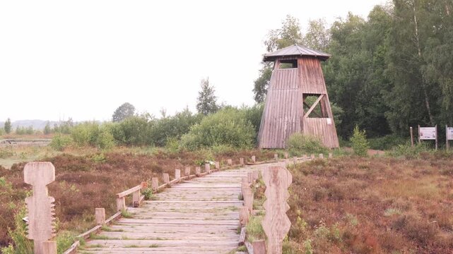 Holzerner Aussichtsturm in nebliger Heidelandschaft am Waldrand
