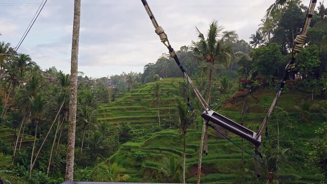 Empty Jungle Swing Over Tegallalang Rice Terraces in Bali, Tropical Landscape, Travel Destination, Adventure And Scenic Nature