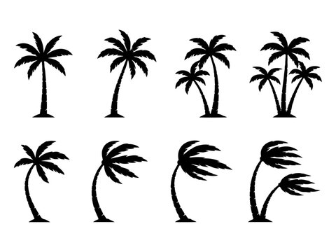 Set de siluetas negras de palmeras de coco con viento tropical. Doodle de palmera tropical de playa en diferentes estilos aislado en blanco para dise&ntilde;os de verano. &Iacute;conos vectoriales de vacaciones