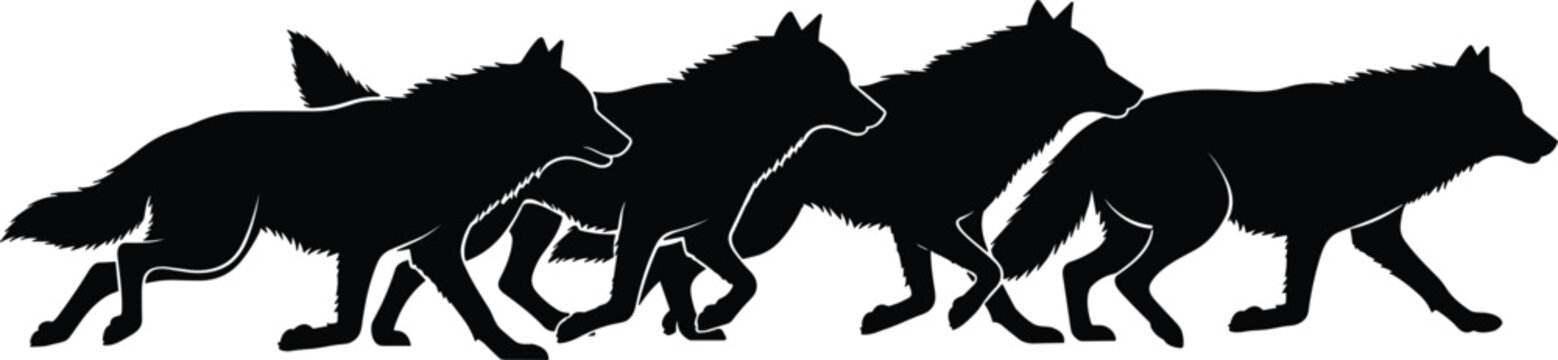 Silhouette of four wolves running in a pack with detailed fur outlines wolf
