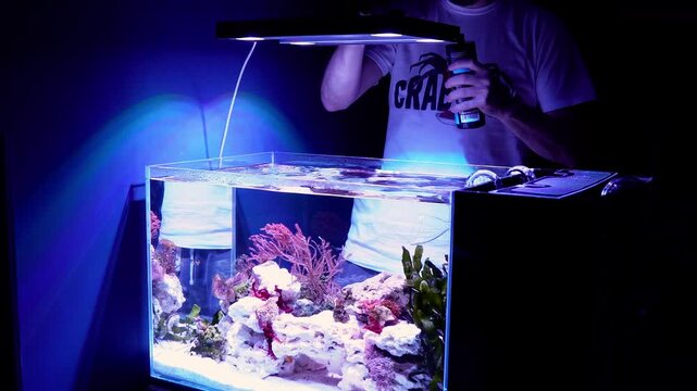 Saltwater aquarium