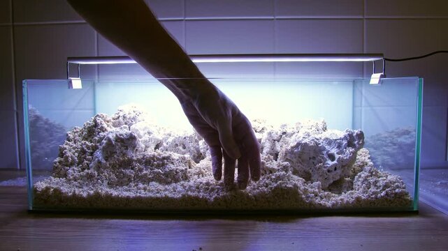 Saltwater aquarium