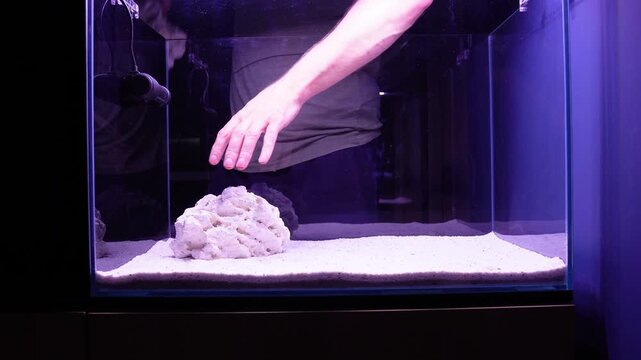 Saltwater aquarium