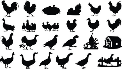 Black Silhouette Farm Poultry Icons Set with Rooster Hen Duck Goose and Chicken Coop © MdReazul