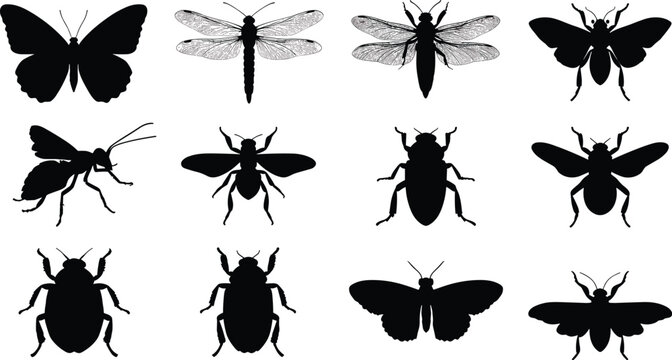 Insect silhouette collection featuring butterflies, dragonflies, beetles, flies, and wasps in grid layout