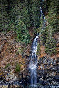 Kenai Fjords National Park, waterfall on tree covered cliffside, vertical