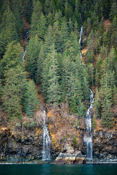 Kenai Fjords National Park, dual waterfalls on tree covered cliffside, vertical