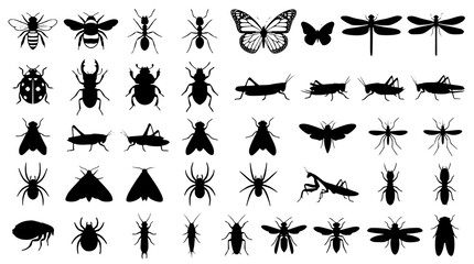 Black insect silhouette vector set with bees ants butterflies and bugs © Shohel