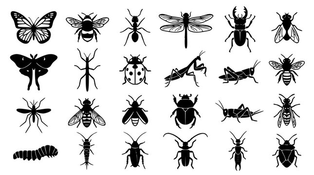 Insect silhouette collection with butterfly bee ant and dragonfly icons