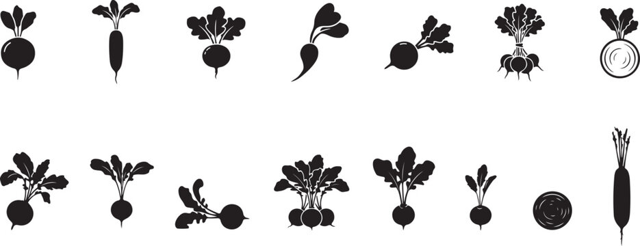 Black Silhouette Icons Of Radishes With Leaves root vegetable. silhouette vector set