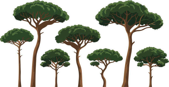 Stone Pine Tree Vector Set Isolated Architectural Landscape Illustration